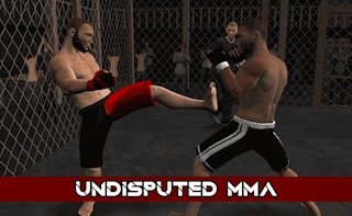 Image Undisputed MMA